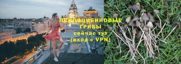 дживик Касимов