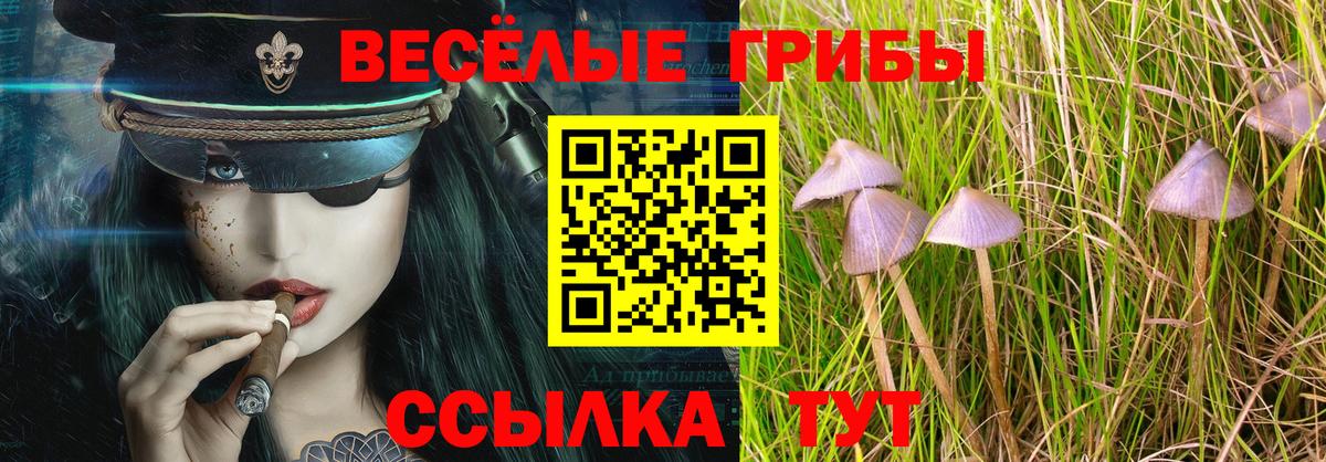 Галлюциногенные грибы GOLDEN TEACHER Волжский