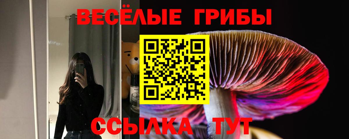 Галлюциногенные грибы ЛСД  Вход с VPN  закладка  Псилоцибиновые грибы Magic Shrooms  Волжский 